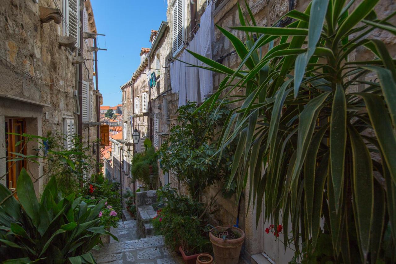 Apartman Mama Marija Dubrovnik Luaran gambar